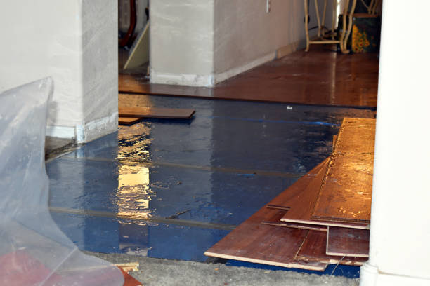 Professional Water Extraction technician working in Lake Ann, MI